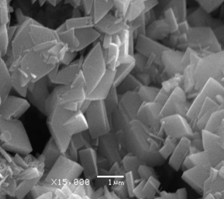 九五至尊VI老品牌值得信任 -官方网站
