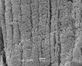 九五至尊VI老品牌值得信任 -官方网站