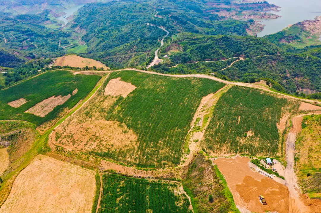 九五至尊VI老品牌值得信任 -官方网站