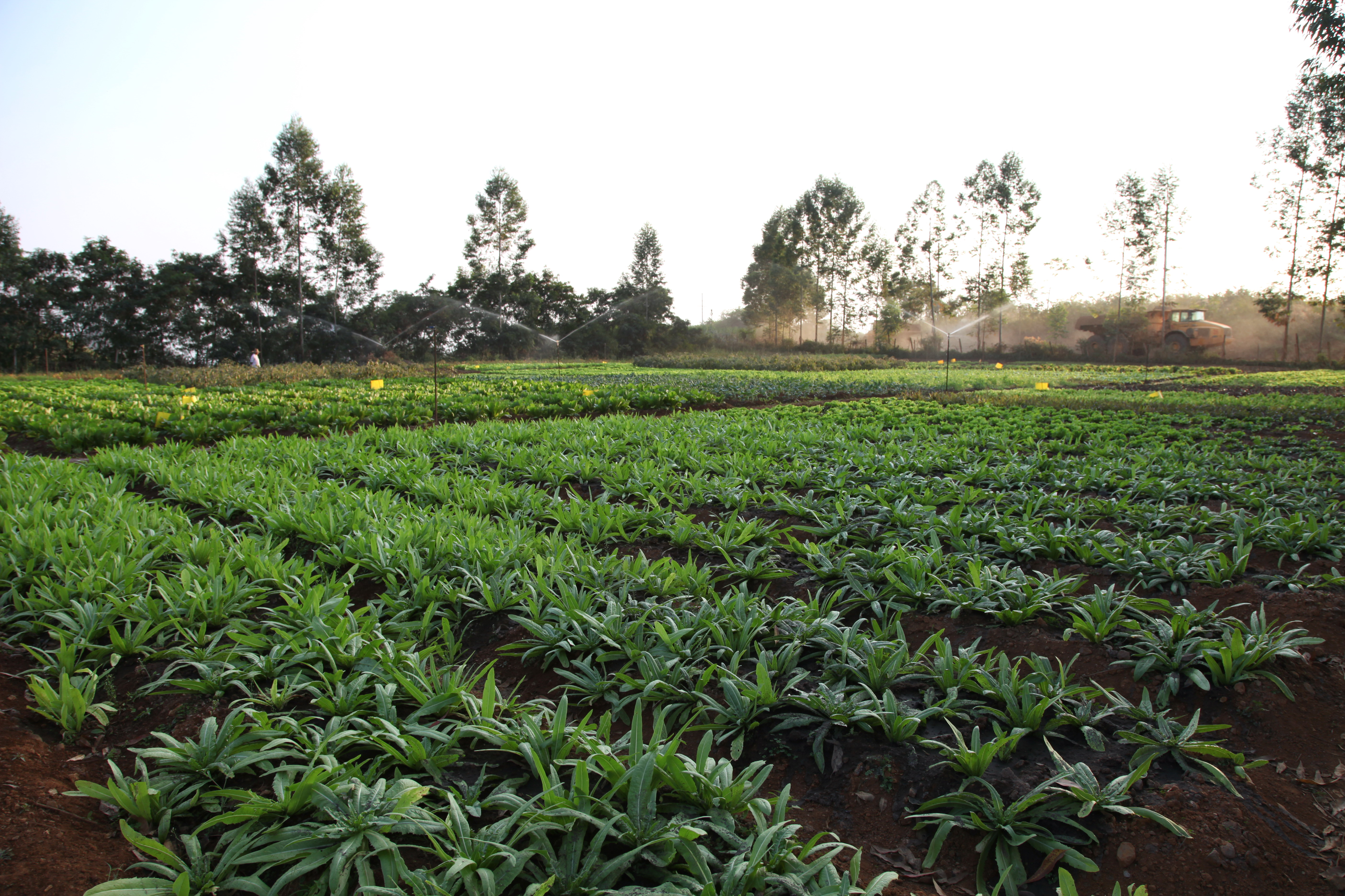 九五至尊VI老品牌值得信任 -官方网站