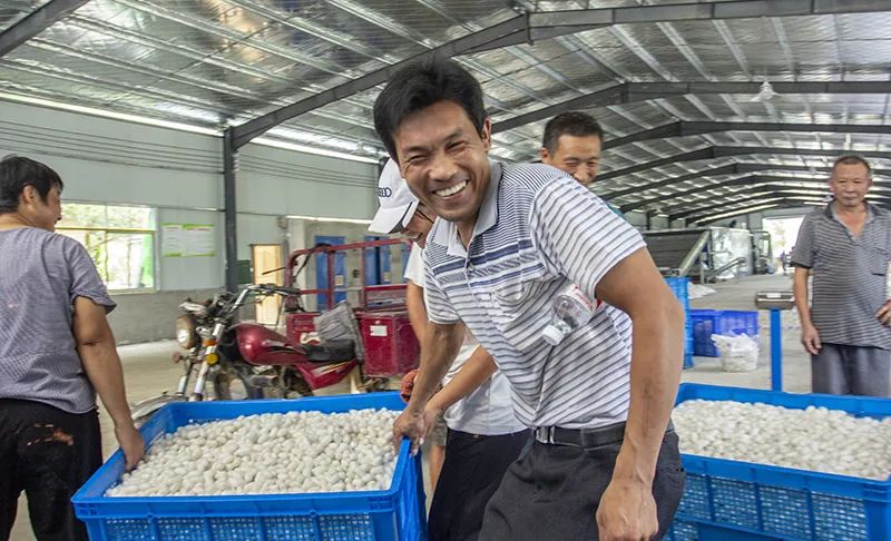 九五至尊VI老品牌值得信任 -官方网站